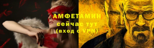 PSILOCYBIN Бородино