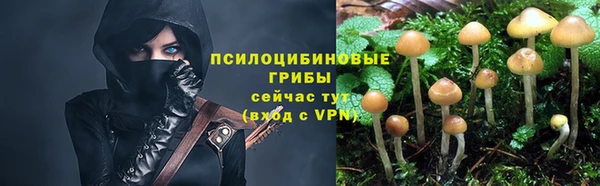 МДПВ Бугульма