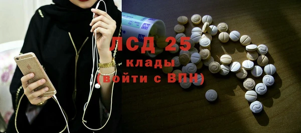 PSILOCYBIN Бородино