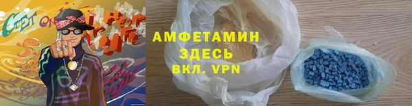 PSILOCYBIN Бородино