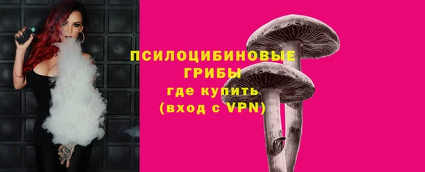МДПВ Бугульма