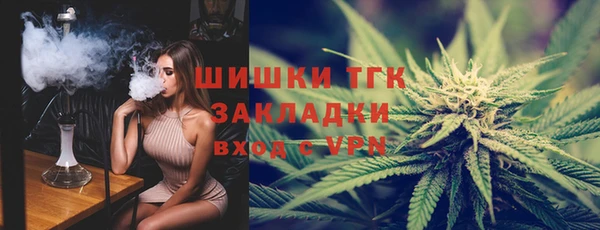 PSILOCYBIN Бородино