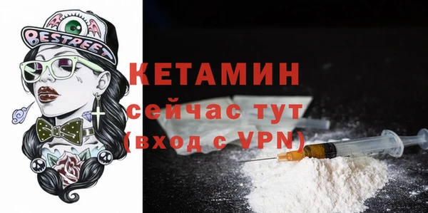 PSILOCYBIN Бородино