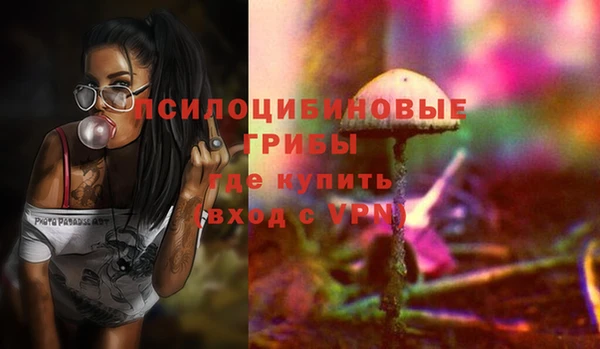 МДПВ Бугульма